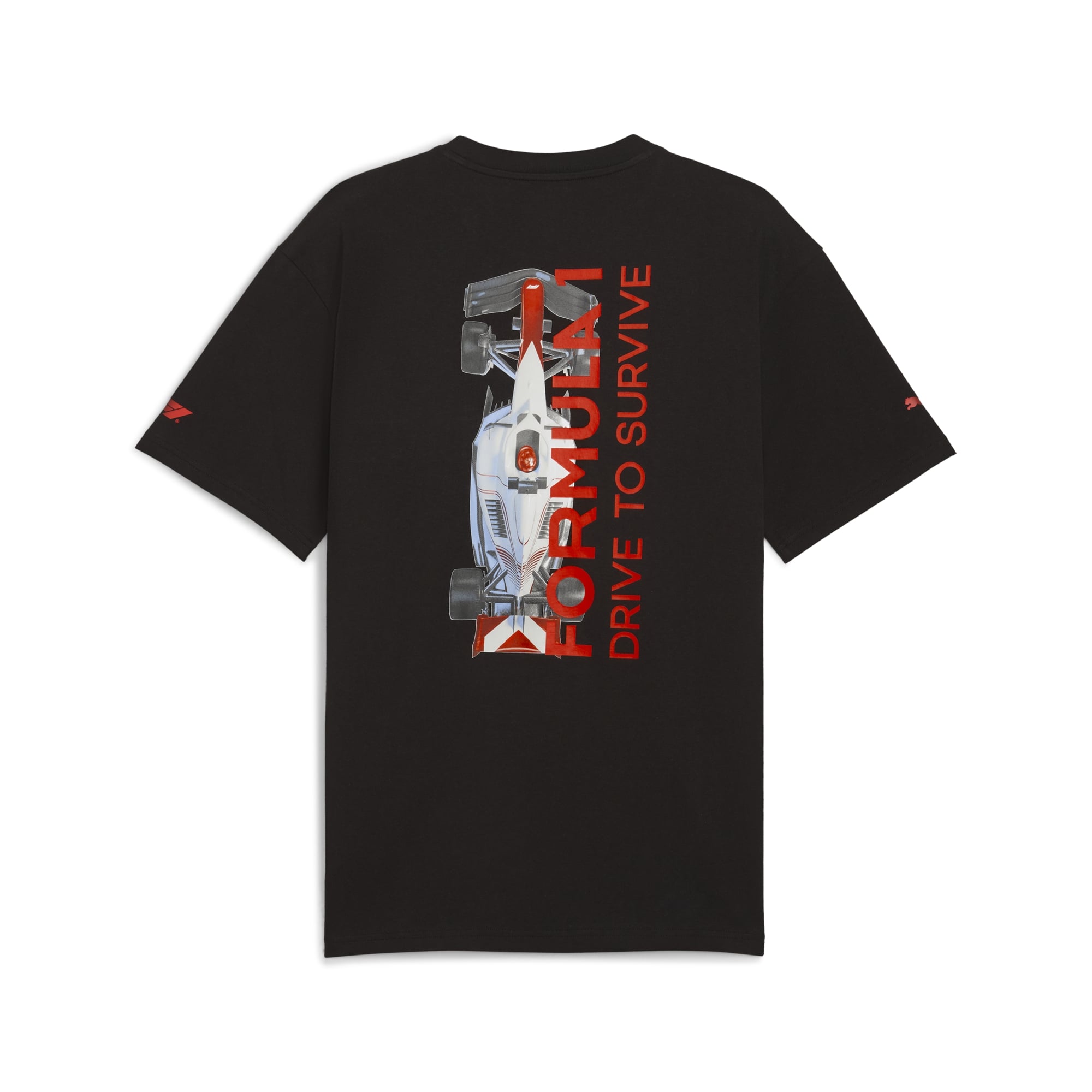 F1 Dts Graphic Tee Relaxed Mens - Black