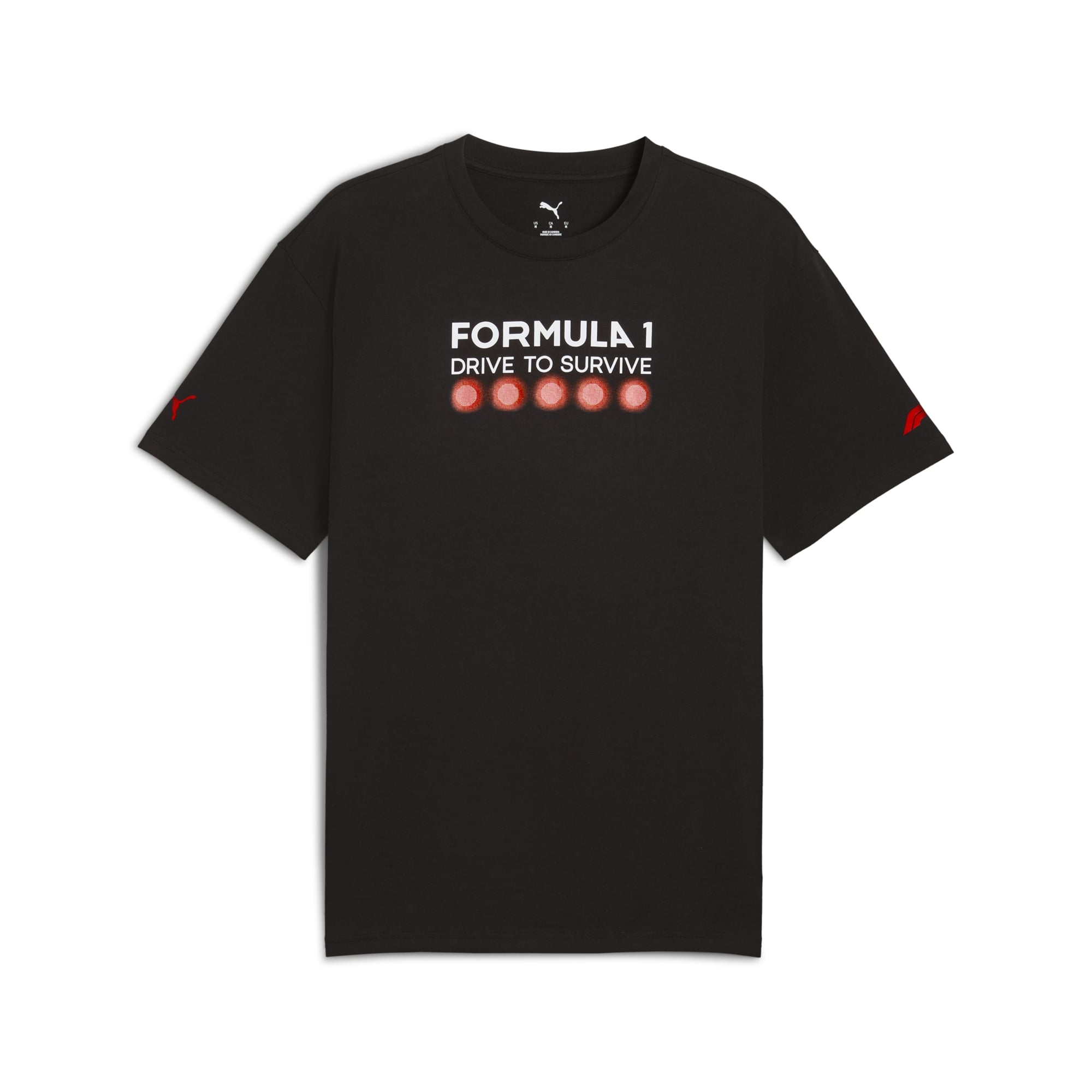 F1 Dts Graphic Tee Relaxed Mens - Black
